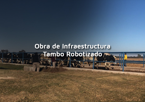 OBRA: Tambo Robotizado